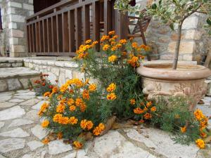 Theasis Guesthouse Korinthia Greece