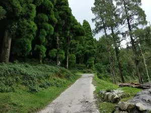 India Tours Only Smriti Homestay - Rangli