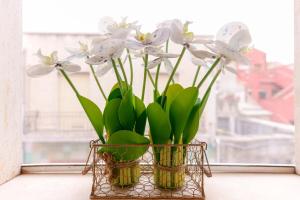 Montellinos Suite Tortora img70