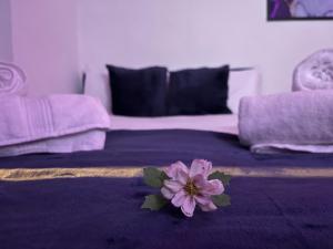 Apartment in Camden, central location