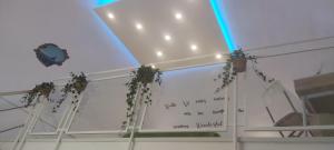 Domus DEA Holiday Home