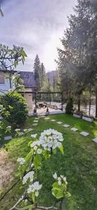 Riverside Guesthouse - Vrbljene