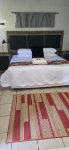 Grey lourie Guesthouse