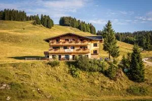 Almhaus Alpenrose Postalm - Seidegg
