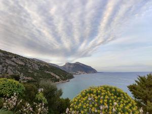 Appartamento a 50 mt dal mare img24