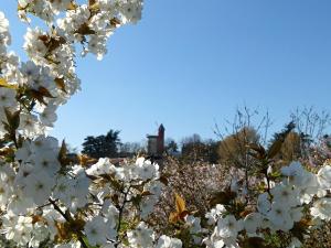 Au jardin Parisien
