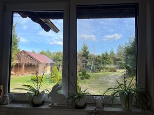 Drewniany dom w cudownej okolicy "Twoja Ostoja"