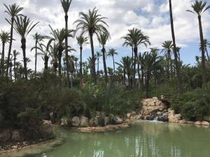 Piso céntrico y con encanto en Plaza de Toros