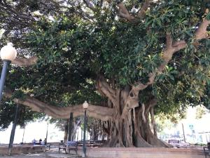 Piso céntrico y con encanto en Plaza de Toros