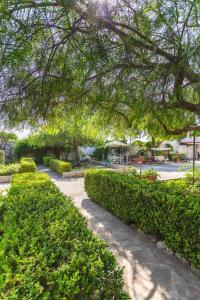 Midori-an 緑庵 - The Garden