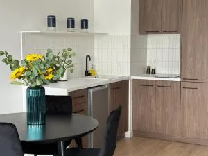 Apartament Przystań 2 - Prokowo
