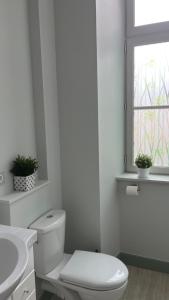 Appartements Appartement de charme : Appartement 1 Chambre