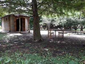 El ranchito - Alsina