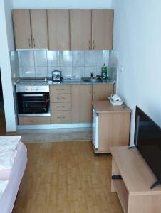 Apartment in Banja Koviljaca