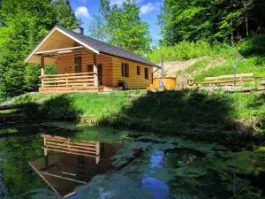 Bieszczady Domek Nad Stawem - Hoczew