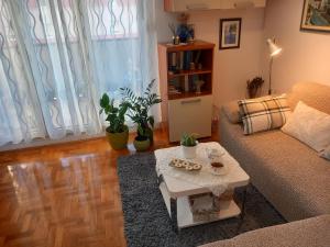 Apartment Harmony - pleasant and comfortable place with a balcony and a secured garage