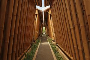 Vamana Resort - CHSE Certified
