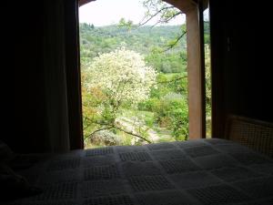 Fattoria il Leccio Independent Apartment on Florence Hills