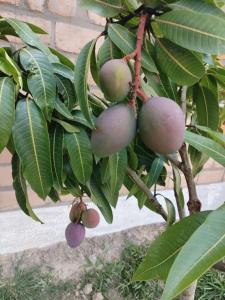 Cabaña Campestre Villa Clarita, Villa de Leyva
