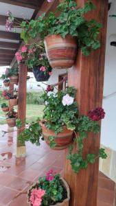 Cabaña Campestre Villa Clarita, Villa de Leyva