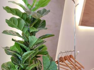 Taean Stay the Delight Private