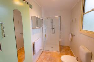 Elm Trees of Ross Cottage