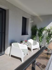 Premium Hils Brauner Studio