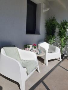 Premium Hils Brauner Studio