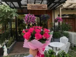 Rocky Cafe & Mini Apartment - 暹粒