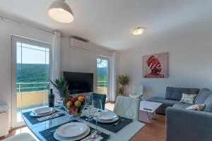 Apartments Wine Fountain - Drivenik