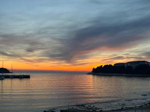 Apartments Antic