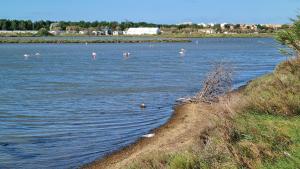 Campings Mobilhome au camping Les Salins de La Gardiole ex Camping Europe : photos des chambres