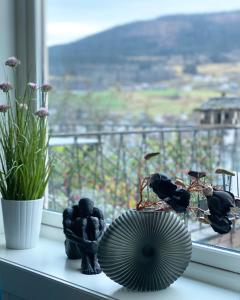 Store Ringheim Apartment - Villa Solberg