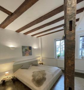 2 kleine Altstadt-Ferienwohnungen mit Garten & Herz