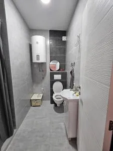 Aparman Tami - Veternik