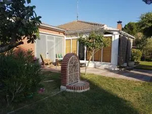 Maitemare - Santibáñez de Valcorba