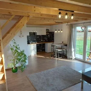 Domek letniskowy Słoneczny Zakątek - 新卡尔奇马