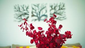 Sunbean Apartment Coresi