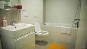 Sunbean Apartment Coresi