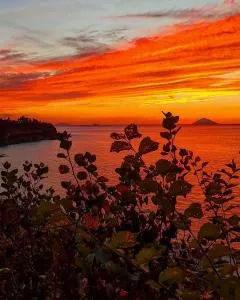 BLOOM Tropea - Brattirò