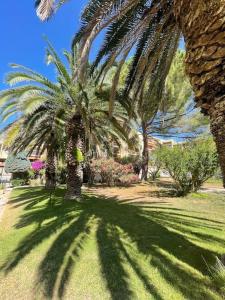 Grand Studio dans Résidence avec Piscine