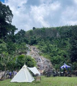 ท่าเเพ ฟอเรสต์ รีสอร์ต