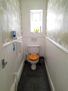 Single Room with Shared Toilet room in Phoenix Guest House