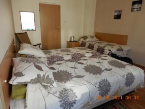 Pokoje goscinne Monika 1000 Lecia Państwa Polskiego 3