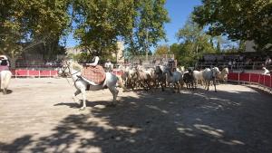 Maisons de vacances La cave de Grand Cabane : photos des chambres