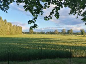 Maisons de vacances La cave de Grand Cabane : photos des chambres