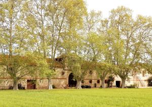 La cave de Grand Cabane