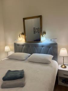 One-Bedroom Apartment room in Blue Dream Apartments Sarajevo