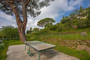 Appartements Le Mas Berliat studio N° 10 : photos des chambres