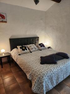 gîte Les Pégots - studio